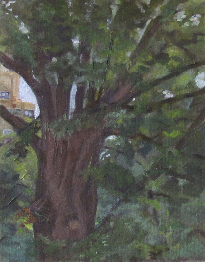 You are currently viewing Gazing Up into the Tree, Oil
